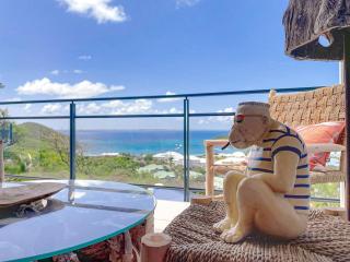 Koala 2 Elegant Studio with Sea View in Anse Marcel - Anse Marcel - 4
