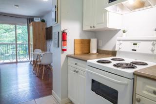 The Flats at Cedar Springs with Full Kitchen and Steps to Lake - Harrison Hot Springs - 1
