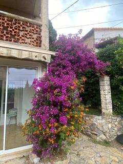 Appart 2 Ch et 1 traversante avec terrasse et jardin proche plage - Bandol - 7