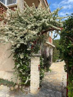 Appart 2 Ch et 1 traversante avec terrasse et jardin proche plage - Bandol - 8