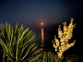 Sun Wave Apartament - Sveti Vlas - 2