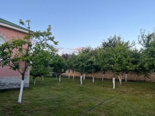 Gabala Home - Gabala - 6