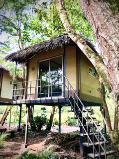 ECOCAMPING JACAMAR - Utica - 1