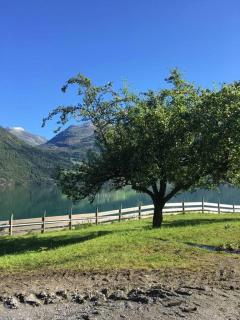 Cabin in Oppstryn - 4