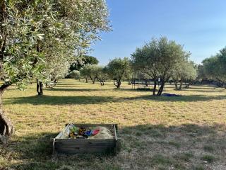 Villa Opaline - Issirac - 6