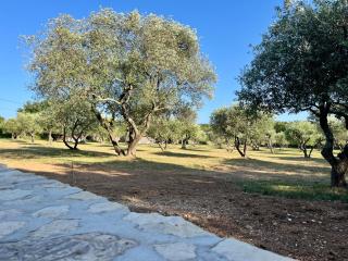 Villa Opaline - Issirac - 7