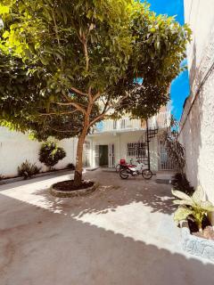 Apartment in Mocajuba - - 9