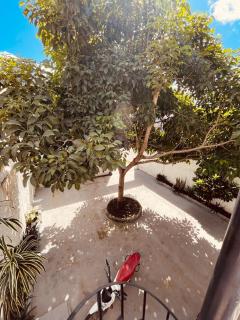 Apartment in Mocajuba - - 6