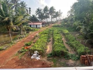 The Brine Breeze Gokarna - 7