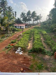 The Brine Breeze Gokarna - Gokarn - 9