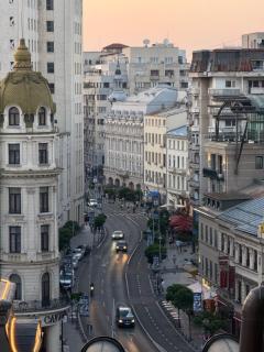 Victoriei Avenue Gem - Bucharest - 9
