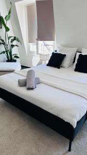 Appartement Cosy - Proche Roissy, Disney et Gare pour Paris - Villeparisis - 9