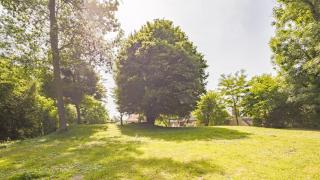 La Suite du Manoir - Champagne et Sérénité - 4