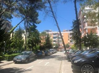 Fresh Apartment Golem - Golem - 3