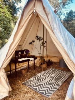 Eco- regenerative bell tent with a pool - near Piódão - - 9