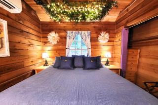 Buzzard Roost cabin at Cabin Fever in NC - Saluda - 6