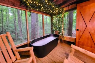 Good Times cabin at Cabin Fever in NC - 0