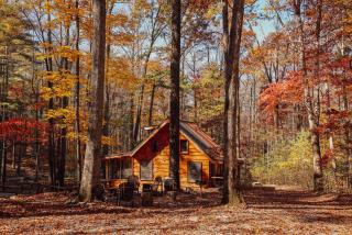 Good Times cabin at Cabin Fever in NC - Saluda - 6
