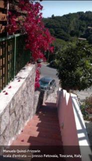 Affittasi casa Fetovaia Isola D'Elba - 4