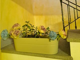 Casa Flora - Civitella dʼAgliano - 8