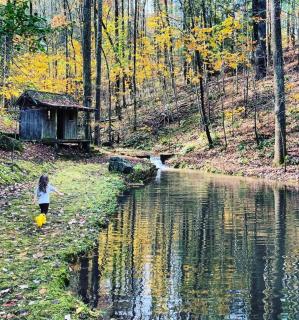Multiple cabins at Cabin Fever - Saluda - 8