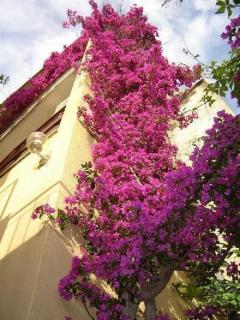 Gemütliches Appartement in Bili Brig mit Grill und Panoramablick - 8