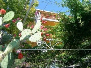 Gemütliches Appartement in Bili Brig mit Grill und Panoramablick - 1