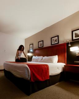 Radisson Poliforum Plaza Hotel Leon - 4