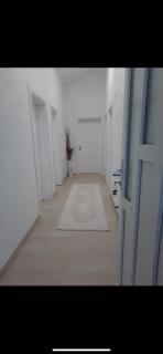 Dolina Mira-Plav - Plav - 9