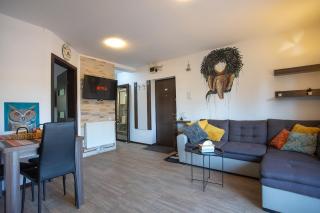 Art Loft -near Coresi Mall - 7