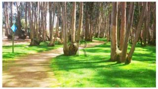 VR | Algarrobo Mirasol Piscina|parking 10min al Mar - 1
