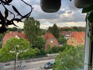Cozy apartment in Frederiksberg - Copenhagen - 3