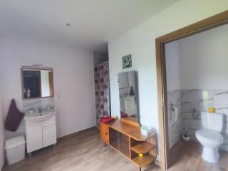 Dolistówka Apartamenty, pole namiotowe, balia z jacuzzi, ogród warzywny dla gości, plac zabaw dla dzieci - Goniadz - 9