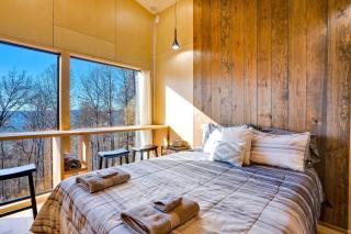 The Noble Fir Treehouse at Treetop Escapes - Wildwood - 4