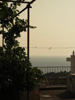 Seas the day - Apartment with sea view and terrace - 2