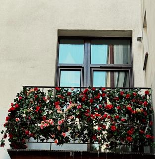 The Heritage House Aparthotel main square - Krakow - 4