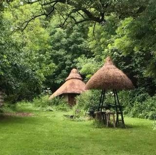 Thatched Roundhouse in Somerset Woodland - Martock - 0