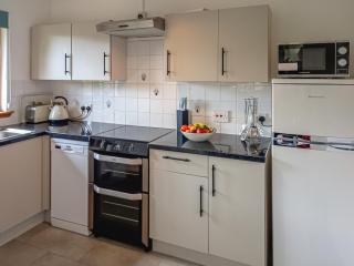 Birch Lodge - 28880 - Torcastle - 7