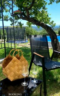 Conceptt casa - - 7