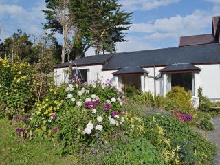 Haulfryn Cottage - Menai Bridge - 0