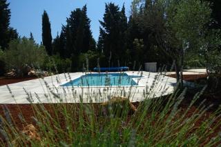 Olive Apartments - 6