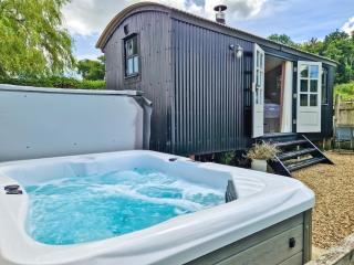 The Hut At Hole Farm - Alderbury - 0