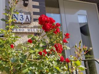 Ferienwohnung Melba - Traben-Trarbach - 5