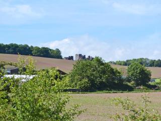 The Briars - Lydbrook - 1