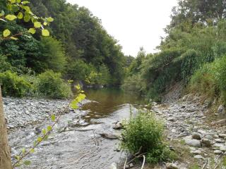 B&B la rivière - Penta-di-Casinca - 8