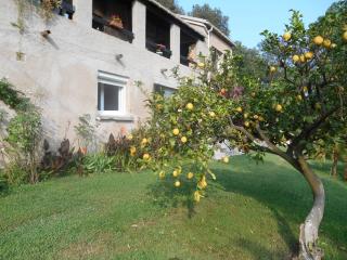 B&B la rivière - Penta-di-Casinca - 5