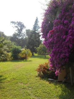 B&B la rivière - Penta-di-Casinca - 2