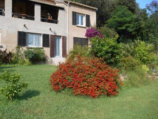 B&B la rivière - Penta-di-Casinca - 2