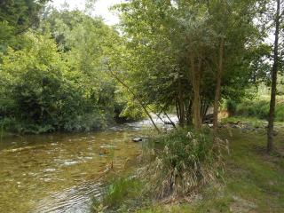 B&B la rivière - Penta-di-Casinca - 1