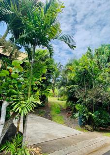 Waimea Bay Tropical Retreat with pool and jacuzzi - Haleiwa - 5